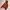 Outdoor Gore-Tex Jacket By Aigle “Pacific Shell” Gorpcore