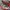 SALOMON S-LAB XT6 photo 2