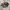 SALOMON S-LAB XT6 photo 1