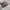 SALOMON S-LAB XT6 photo 4