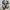NEWBALANCE 1906L  photo 5