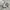 NEWBALANCE 1906L  photo 1