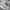 NEWBALANCE 1906L  photo 2