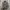 Nike Sportswear Casual Windbreaker Pria brown photo 1