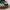 Adidas Samba Green photo 2