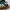 Adidas Samba Green