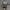 JORDAN 4 RETRO WHITE THUNDER photo 4