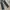 Luxury Indie Jeans Pria black photo 5