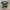 Team Apparel Vintage New York Jets T Shirt Short Sleeve NFL  photo 4