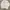 no brand photo 2