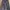 Halfzipper / Halfzip Filq Full Print photo 1