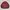 Harington Jacket Maroon
