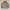 Harington Jacket Mocha