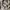Beanpole Minimalist Casual Harrington jacket Pria cream photo 8