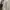 Beanpole Minimalist Casual Harrington jacket Pria cream photo 4