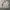 Beanpole Minimalist Casual Harrington jacket Pria cream photo 1