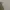 Oversize Crewneck (Guess) photo 8