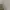 Oversize Crewneck (Guess) photo 7