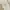 Oversize Crewneck (Guess) photo 5