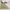 Oversize Crewneck (Guess) photo 2