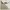 Oversize Crewneck (Guess)