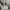 Oversize Crewneck (Guess) photo 4