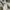 Oversize Crewneck (Guess) photo 3