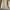 Casual Windbreaker Pria yellow photo 4