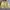 Casual Windbreaker Pria Yellow