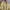 Casual Windbreaker Pria yellow photo 2