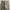 Carhartt Carpenter Pant photo 3