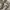 Carhartt Carpenter Pant photo 8