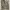 Carhartt Carpenter Pant photo 7