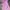 Y2K Coquette Bodycon Dress Wanita Pink