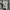 Carhartt Canvas Cell Pocket Pant photo 8
