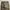 Carhartt Carpenter Pant photo 6