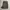 Carhartt Carpenter Pant photo 1