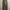 Carhartt Carpenter Pant
