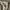 Carhartt Carpenter Pant photo 8