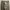 Carhartt Carpenter Pant photo 3