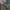 Polo Ralph Lauren Y2K Avant Garde Short Pria multicolor green photo 7