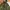 1983 M-65 WOODLAND MILITARY PARKA JACKET by So Sews Inc photo 3