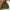 1983 M-65 WOODLAND MILITARY PARKA JACKET by So Sews Inc photo 2