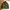 1983 M-65 WOODLAND MILITARY PARKA JACKET By So Sews Inc