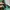 Biker Casual Windbreaker Pria green photo 6