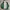 Biker Casual Windbreaker Pria green photo 3