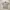 Dickies Streetwear Y2K Formal Shirt Pria Khaki