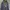 Hoodie Converse All Star Zip Sherpa Second