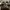 Dr Martens Steel Toe  photo 1