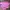 Y2K Minimalist Crop Top Wanita Pink